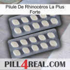 Pilule De Rhinocéros La Plus Forte 07